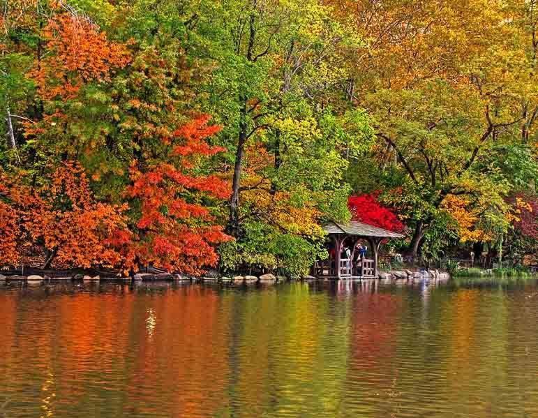 Central Park Бухарест Номер фото