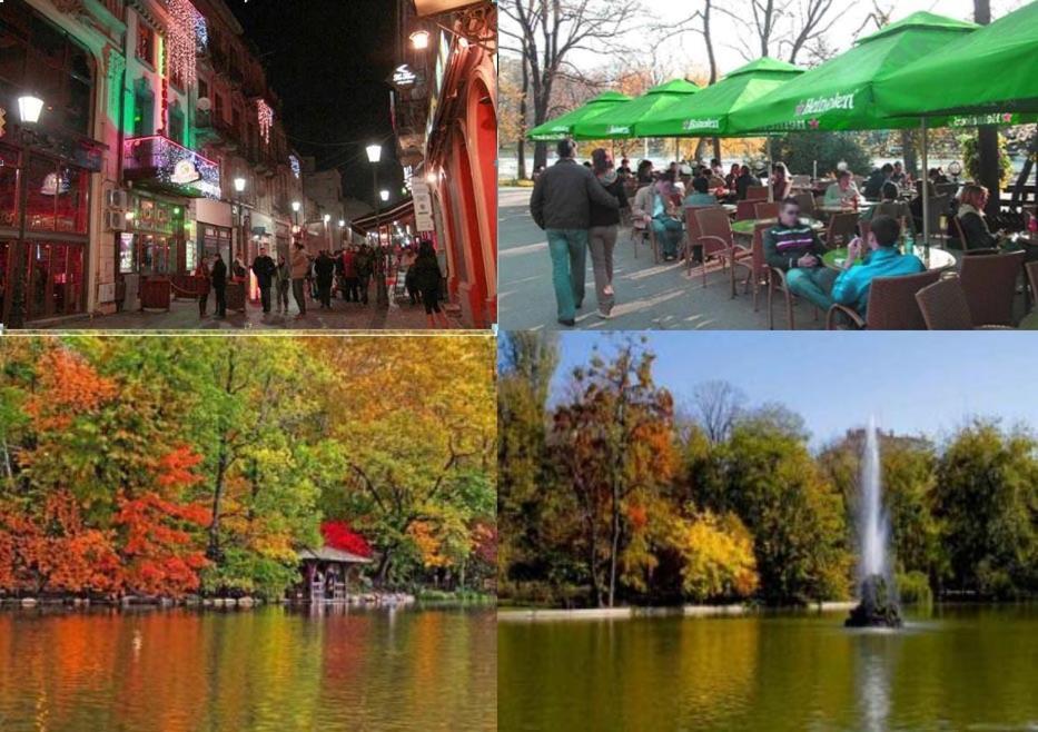 Central Park Бухарест Номер фото